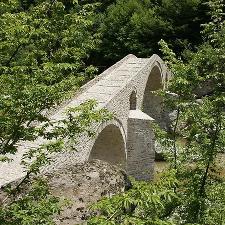 Dom wakacyjny Kadishevi