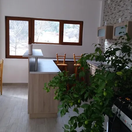 Dom wakacyjny Kadishevi